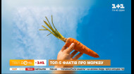 ТОП-5 фактів про моркву