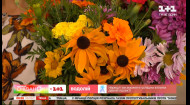 Айстри, хризантеми, рудбекії: правильний догляд за сезонними квітами