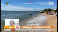Блохи атаковали Азовское море: как спасаться от укусов — советы врача-дерматолога