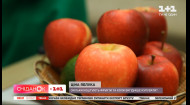 В Україні дешевшають яблука: коли найвигідніше купувати цей фрукт