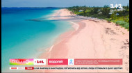 Розовый пляж, фламинго и свиньи: интересные факты о Багамских островах