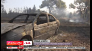 Греция в огне: страна страдает от лесных пожаров