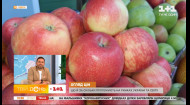 Ціни на яблука на ринках Одеси, Кам'янського та Мукачева