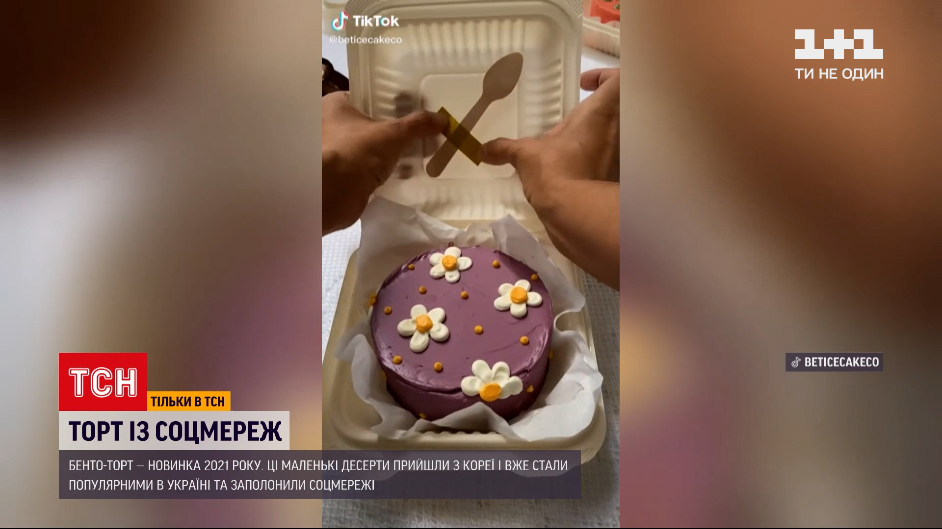 Торт «Новинка»