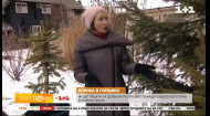 Садовая блогерша Антонина Лесик рассказывает, как ухаживать за елкой после праздников
