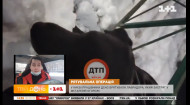 В Киеве спасатели освободили собаку из металлической ловушки