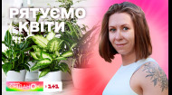 Як правильно реанімувати квіти у горщиках, поради від експерта Олени Самойлюк