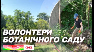 Волонтерство в Ботанічного саду: чому українці допомагають і як долучитися до активностей