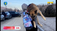 Несли собаку на плечах к польской границе, чтобы спасти животное от войны!