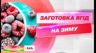 Як правильно заморозити ягоди, щоб смакувати весь рік — фуд-блогерка Дарія Дорошкевич