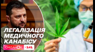 Зеленський закликав легалізувати медичний канабіс в Україні