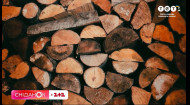 Ближче до холодів — дорожче! Як знайти якісні та легальні дрова?
