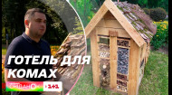 Для чого будинки для комах у парках Києва, з'ясував кореспондент Саша Ковальов