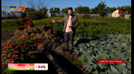 Сажают урожай на остатках российского танка! Подробности от корреспондента Александра Ковалева