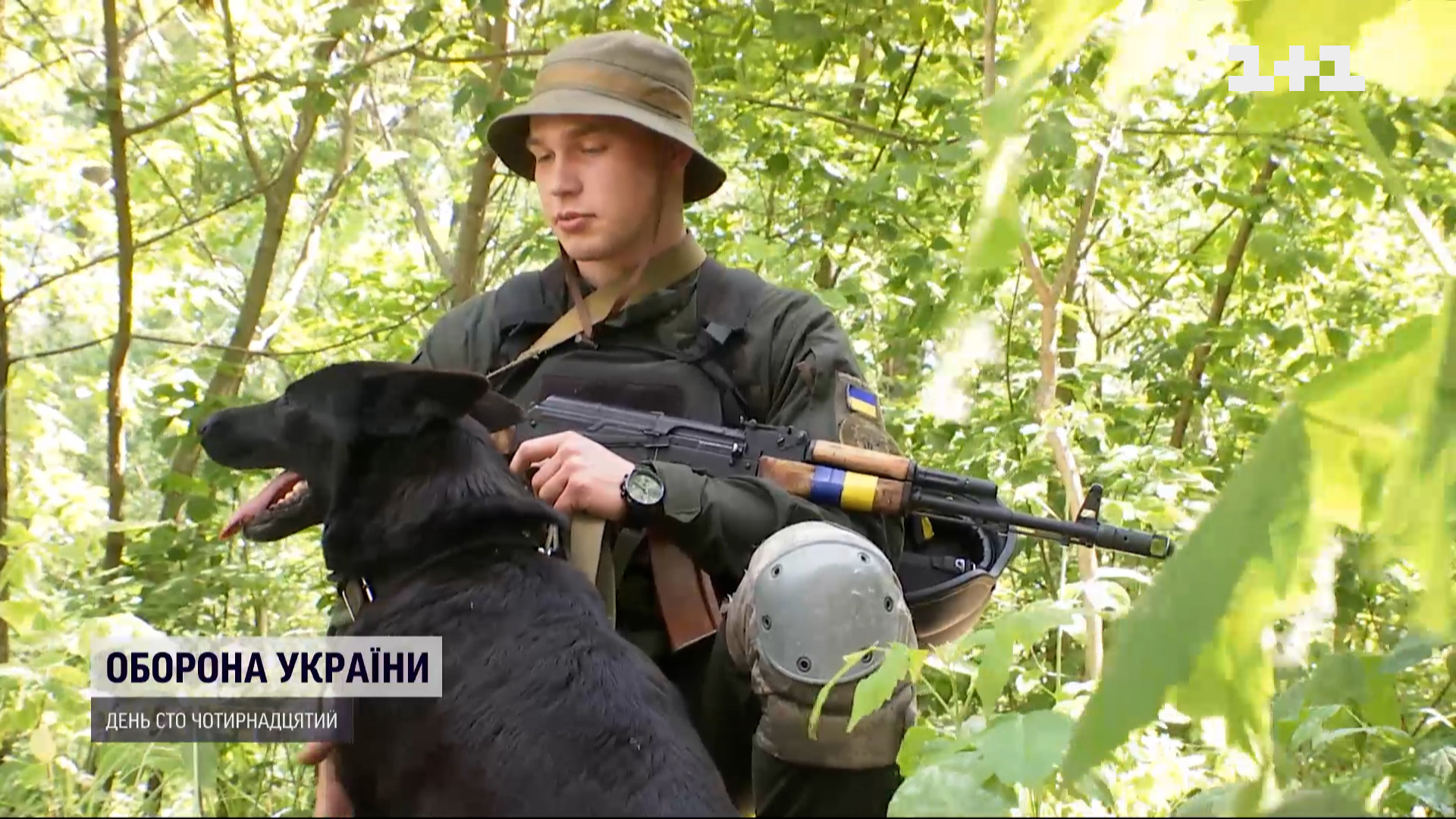 До слез: служебная собака помнила запах своего товарища и нашла его на  передовой