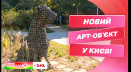 Монумент-присвята тваринам: на лівому березі з'явилась статуя пса з каменів у сталевому каркасі