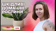 Какие домашние растения могут вредить здоровью – Елена Самойлюк
