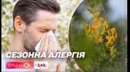 Сезон алергії буде довший і складніший: чому так відбувається