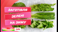 Як правильно зберігати зелень і заготовляти її на зиму – фудброгер Дарія Дорошкевич