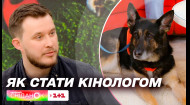 Владислав Плахтій: Як стати кінологом та навчитися розуміти собак