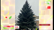 В центре Львова начали устанавливать елку – включение из города