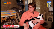 59 котів, три собаки та павучиха: як Ольга Вергелес рятує бездомних тварин