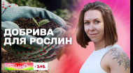 Добрива для рясного врожаю: поради експерта Олени Самойлюк