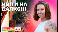 Як доглядати за квітами у підвісних кошиках, поради від експерта Олени Самойлюк