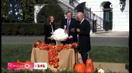 День благодарения в США: какие главные традиции у американцев в этот день