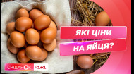 Великдень та попит на яйця позаду: чи знизились ціни на продукт