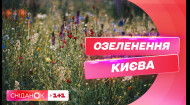 Екологічні рослини, різнотрав'я і терапевтичні парки: як озеленюють Київ і чи перейматимуть ці тенденції інші міста
