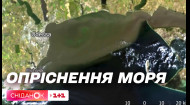 Чи може стати Чорне море прісним, і які наслідки це може мати