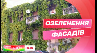 У Києві озеленюють стіни фасадів будинків