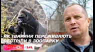 Як зараз живуть тварини у Київському зоопарку, розповів директор Кирило Трантін