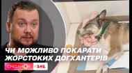 Хто труїть собак на вулицях Києва та чи будуть покарані вбивці тварин