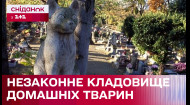 Чому в Києві хочуть прибрати кладовище домашніх улюбленців?