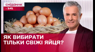 Як перевірити яйця на свіжість? Надійний метод | Знаю – споживаю