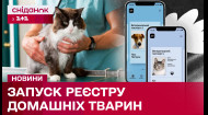 В Україні запрацював Єдиний реєстр домашніх тварин! Кого з улюбленців реєструвати і як це зробити?