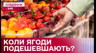 Сезон ягод и фруктов! Какие цены летом 2024 года?