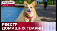 В Україні створять Єдиний реєстр домашніх тварин