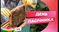 День пасічника: які унікальні продукти отримують українські бджолярі і як вибрати якісні