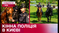Патрулювання верхи: як працює кінна поліція в Києві?