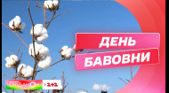 День бавовни: історія матеріалу та як в Україні вирощують благодійну бавовну