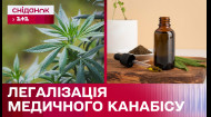 Історичне рішення! В Україні прийняли законопроєкт про легалізацію медичного канабісу