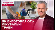 Унікальне підприємство: «Трав’ярня на Бакоті». Як вирощують і заготовлюють лікарські рослини?