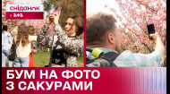 Сезон цветения: почему украинцы фотографируются возле цветов?
