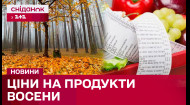 У каждого десятого не хватает денег на продукты? Сколько украинцы тратят на продукты?