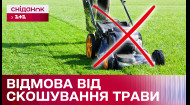 У Києві відмовилися від скошування трави! Чи правильно це?
