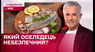 Найпопулярніша риба серед українців! Як правильно вибирати оселедець?  | Знаю – споживаю