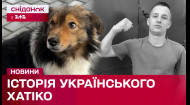 Чекає два роки на господаря, який загинув на війні💔 Історія з Черкащини, що розчулить кожного